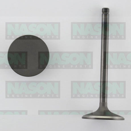 Valve Inlet HOLDEN V6 3.8L VS ON IN3184 - Nason