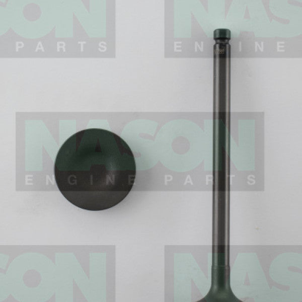 Valve Inlet MAZDA G6 B2600 2/4WD 33.3mmH/D IN3188 - NASON