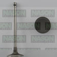 Valve Inlet NISSAN E15T IN3204 - NASON