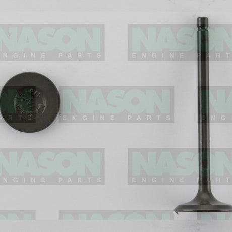 Valve Inlet SUZUKI G13B G16A G16B SOHC 16V IN3220 - Nason