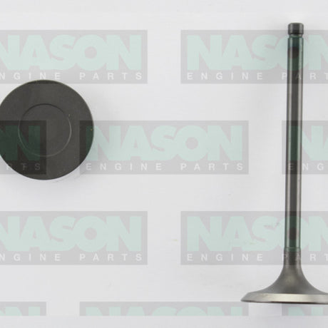 Valve Inlet TOYOTA 3RZ-FE IN3240 - Nason