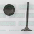 Valve Inlet TOYOTA 3VZ-E V6 SOHC IN3244 - NASON