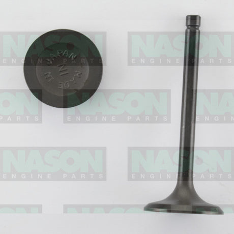 Valve Inlet TOYOTA 3VZ-E V6 SOHC IN3244 - Nason