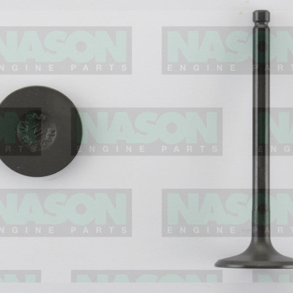 Valve Inlet NISSAN KA24 DOHC IN3260 - NASON