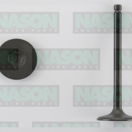 Valve Inlet NISSAN KA24 DOHC IN3260 - Nason