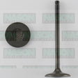 Valve Inlet NISSAN SR20DE DOHC IN3262 - NASON