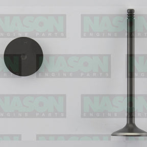 Valve Inlet HOLDEN C20SEL C18SEL T20 T22SE IN3306 - Nason
