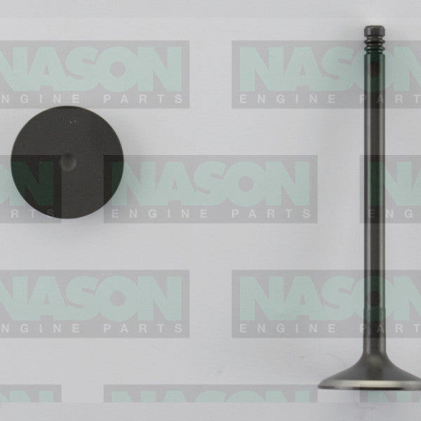 Valve Inlet HOLDEN C20SEL C18SEL T20 T22SE IN3306 - Nason
