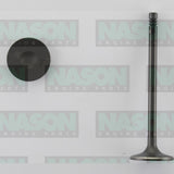 Valve Inlet HOLDEN C16XE X16XE 14XE IN3308 - Nason