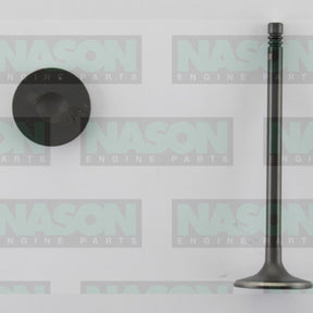 Valve Inlet HOLDEN C16XE X16XE 14XE IN3308 - NASON