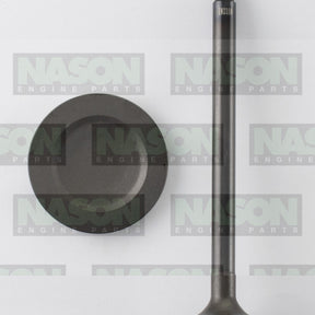 Valve Inlet HOLDEN C20NE X20SE C22NE IN3310 - NASON