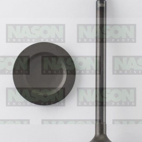 Valve Inlet HOLDEN C20NE X20SE C22NE IN3310 - Nason