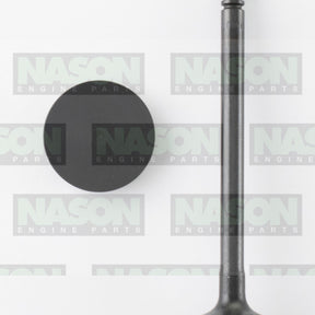 Valve Inlet HOLDEN C20LET C20XE IN3312 - NASON