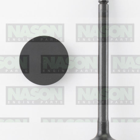 Valve Inlet HOLDEN C20LET C20XE IN3312 - Nason