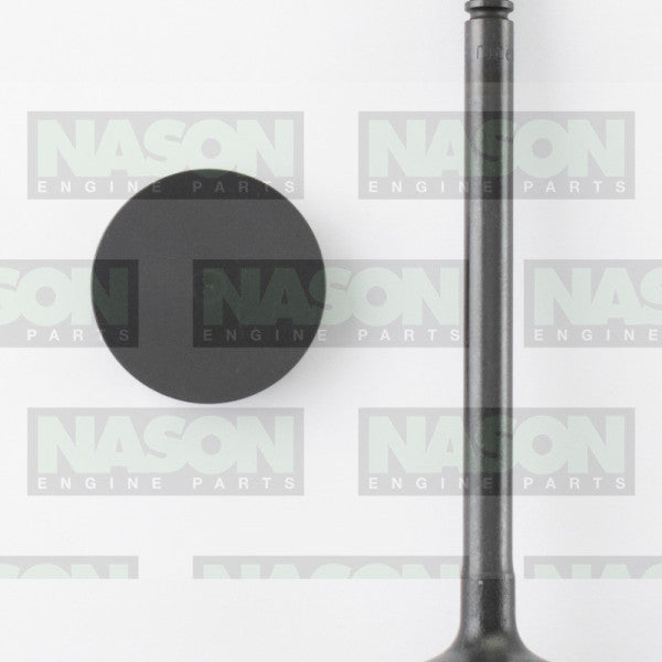 Valve Inlet HOLDEN C20LET C20XE IN3312 - NASON