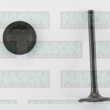 Valve Inlet HOLDEN C16SE Z16SE DAEWOO G15M IN3314 - Nason