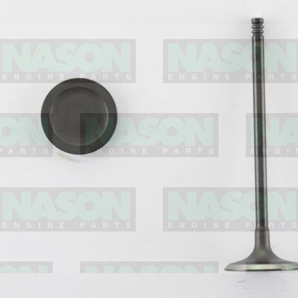 Valve Inlet HOLDEN X18XE1 Z18XE IN3316 - NASON