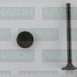 Valve Inlet MITSU 4G15 12 VALVE IN3346 - NASON