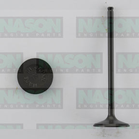 Valve Inlet HONDA F22A IN3356 - NASON