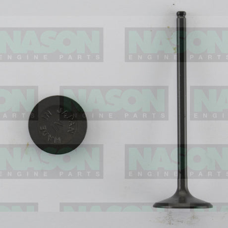 Valve Inlet HONDA F22A IN3356 - Nason