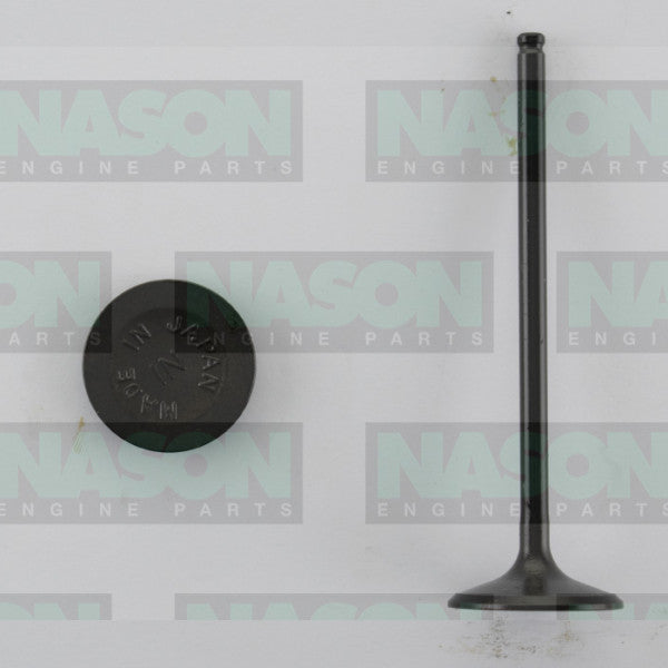 Valve Inlet HONDA F22A IN3356 - NASON