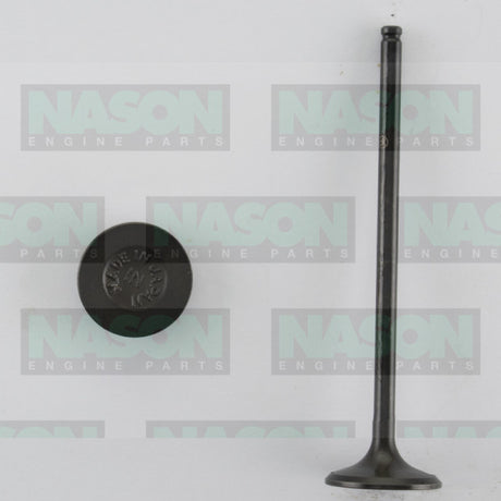 Valve Inlet HONDA D16Z D16Y IN3360 - Nason