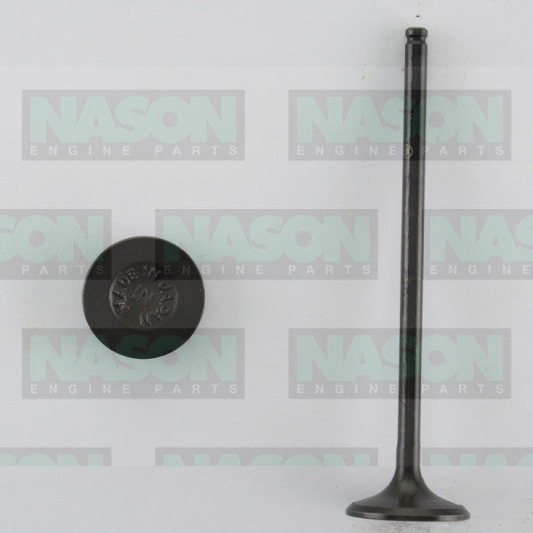 Valve Inlet HONDA D16Z D16Y IN3360 - NASON