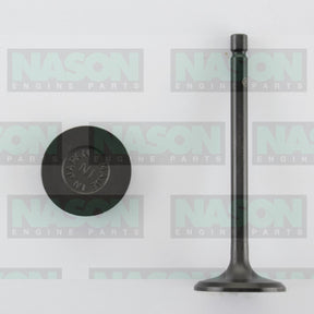 Valve Inlet ISUZU 4JG2 4JH1 IN3368 - NASON