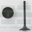 Valve Inlet MAZDA TF TM IN3370 - NASON