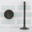 Valve Inlet MAZDA VA IN3372 - NASON
