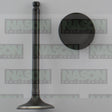 Valve Inlet MAZDA FS FPD KIA K5 KV6 IN3374 - NASON