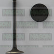 Valve Inlet MAZDA KL IN3376 - NASON