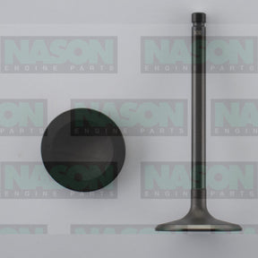 Valve Inlet NISSAN TB45 IN3382 - NASON