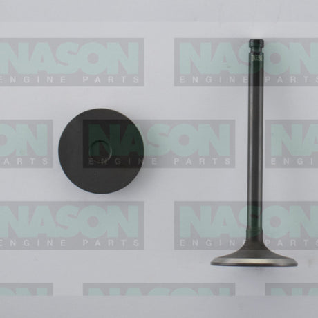 Valve Inlet NISSAN RD28 RD28T SOHC 12V IN3386 - Nason
