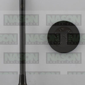 Valve Inlet HOLDEN 6VD1 6VE1 DOHC IN3406 - NASON