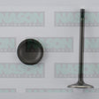 Valve Inlet HOLDEN Z22SE Z22CE IN3512 - NASON