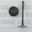 Valve Inlet NISSAN TB48E TB48S 6CYL IN4127 - NASON