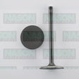 Valve Inlet HOLDEN VX-VY V6 3.8L ECOTEC IN4184 - NASON
