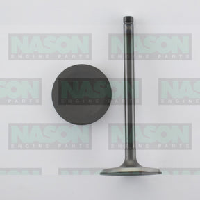 Valve Inlet HOLDEN VX-VY V6 3.8L ECOTEC IN4184 - NASON