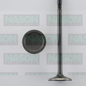 Valve Inlet FORD 5.4L DOHC 32V IN4480 - NASON