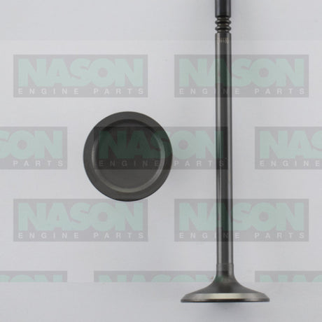 Valve Inlet FORD 5.4L DOHC 32V IN4480 - Nason