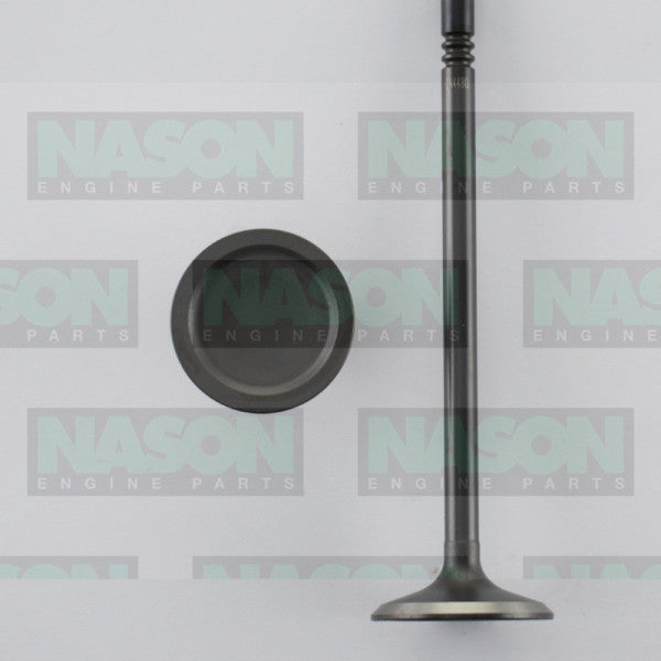 Valve Inlet FORD 5.4L DOHC 32V IN4480 - NASON