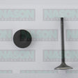 Valve Inlet NISSAN QR25DE 2.5L DOHC T30 IN5006 - NASON