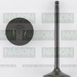 Valve Inlet NISSAN QR25DE 2.5L DOHC T31 IN5012 - NASON