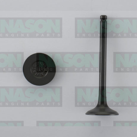 Valve Inlet ISUZU 4JX1T IN5016 - Nason