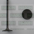 Valve Inlet NISSAN QG16DE QG18DE 1.6 1.8L IN5028 - Nason