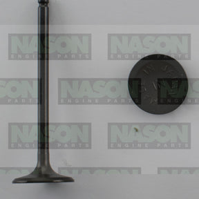 Valve Inlet NISSAN QG16DE QG18DE 1.6 1.8L IN5028 - Nason