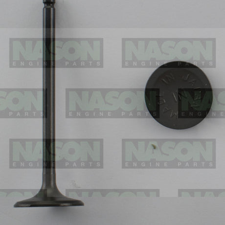 Valve Inlet NISSAN QG16DE QG18DE 1.6 1.8L IN5028 - Nason