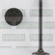 Valve Inlet MAZDA ZL ZM 1498 1598CC DOHC IN5030 - Nason