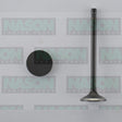 Valve Inlet TOYOTA 1VD-FTV IN5036 - NASON